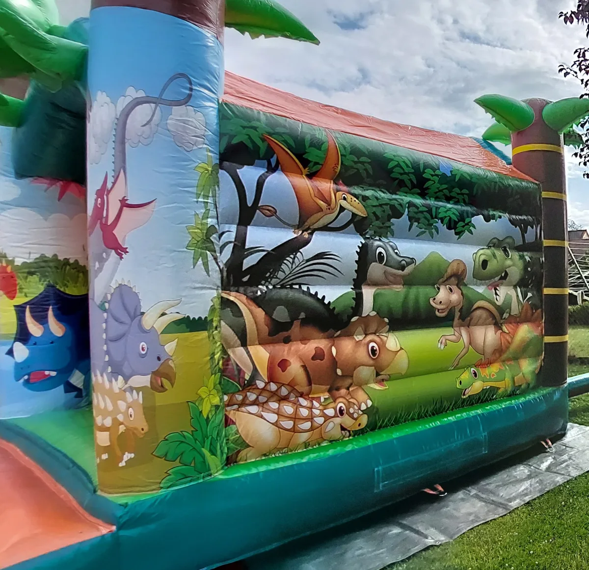 Dino – Bild 4 von 5